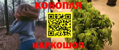a pvp Будённовск