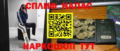 a pvp Будённовск